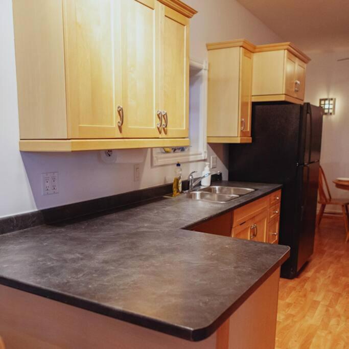 Large Upstairs Flat In Downtown Century Building Belleville Exterior photo